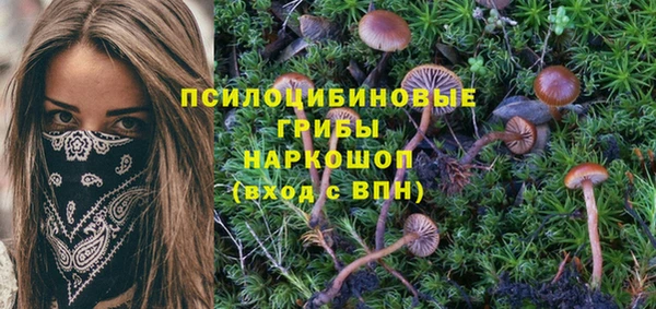 молекула духа Строитель