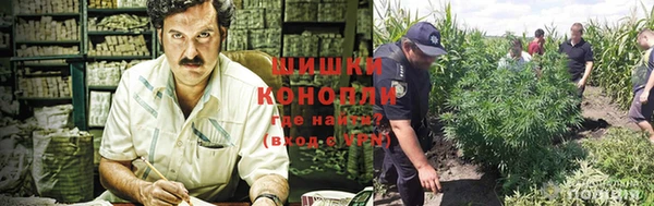 молекула духа Строитель