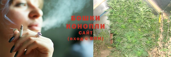 молекула духа Строитель