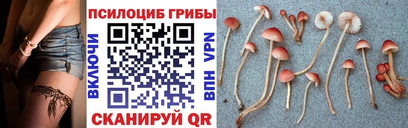 mega ССЫЛКА  Щучье  Галлюциногенные грибы Psilocybine cubensis  как найти закладки 